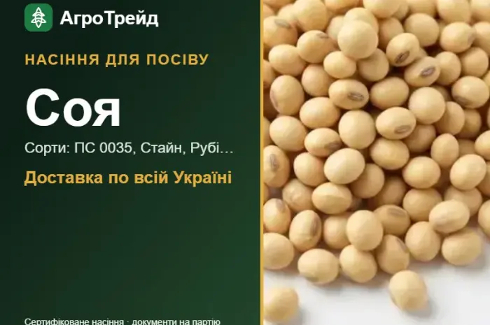 Продам насіння сої- фото № 1