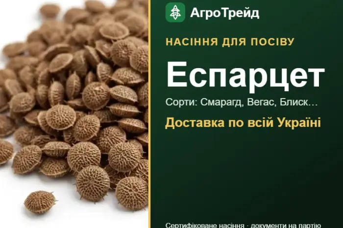 Продам насіння еспарцету- фото № 1