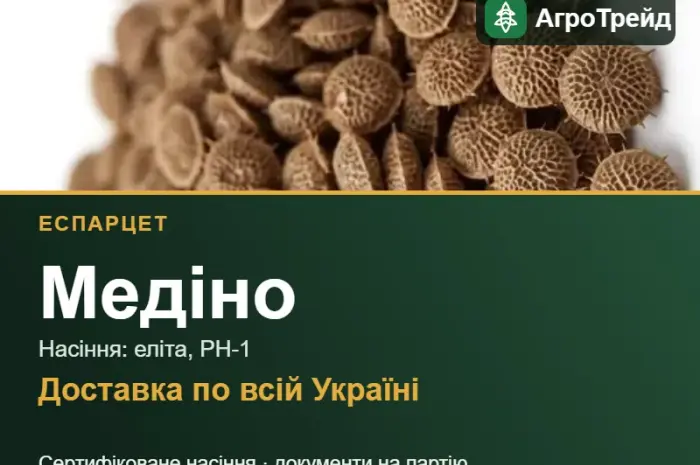 Купити насіння еспарцету Медіно- фото № 1