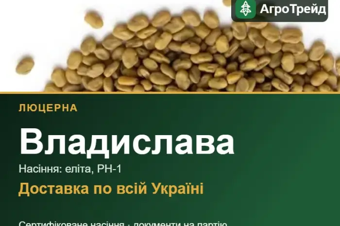 Люцерна Владислава- фото № 1