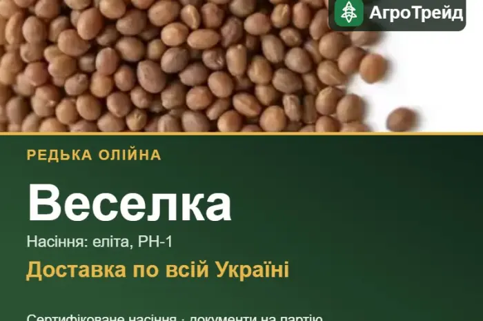 Веселка — редька олійна, насіння- фото № 1