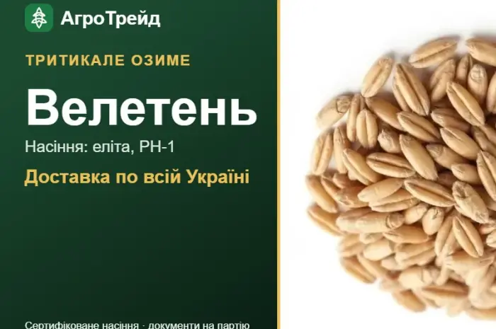 Тритикале озиме Велетень- фото № 1